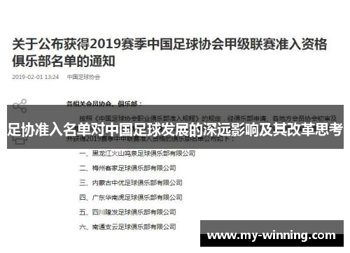 足协准入名单对中国足球发展的深远影响及其改革思考